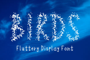 Birds Display Font: A Lively Typeface for Brand Builders