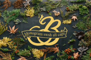Monogram Swsh: An Elegant Display Font for Thoughtful Publishing