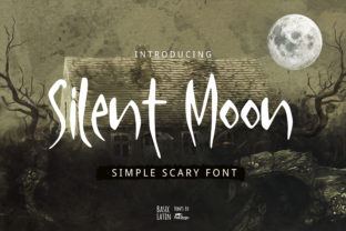 Silent Moon: A Display Font That Elevated My Small Brand