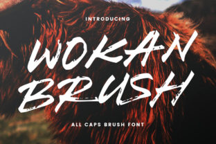 Wokan: The Friendly Display Font for Real Brand Moments