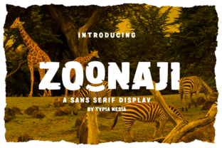 Zoonaji: A Quirky Display Font for Scroll-Stopping Brand Content